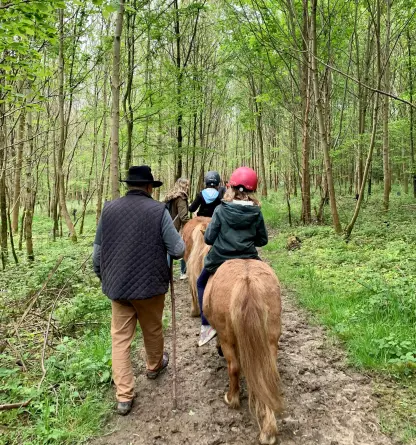 Normandie Caux Vexin, côté poney