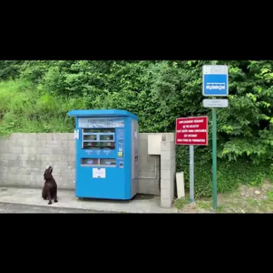 L'élevage du Moulin de Rebets