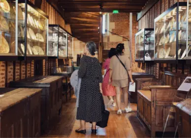Visite guidée générale