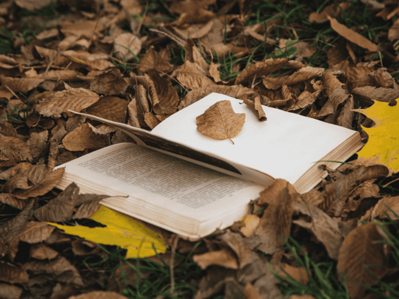 Atelier petite enfance - L'automne