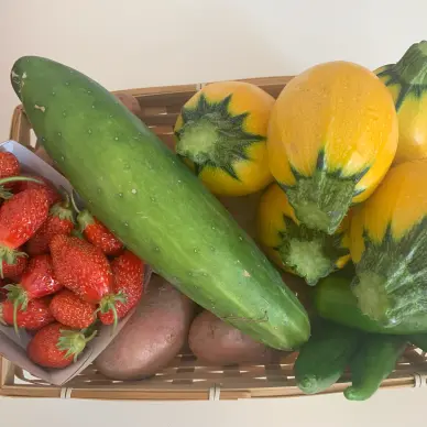 Les Jardins du Petit Moulin