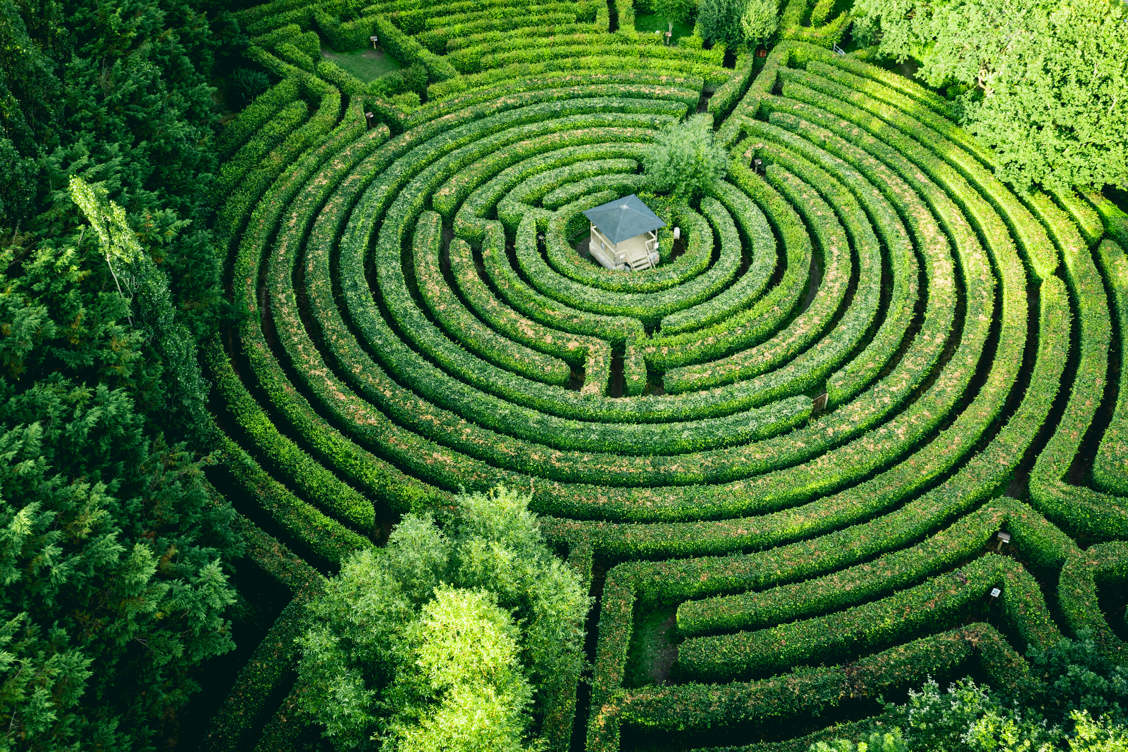 Labyrinthe Artmazia
