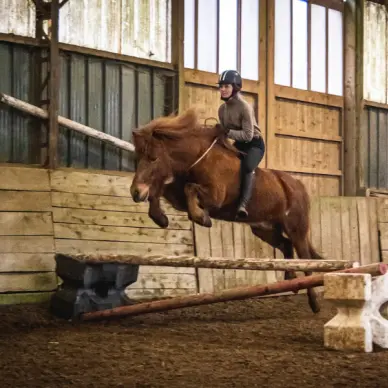 Poney-club de Bois-Guilbert