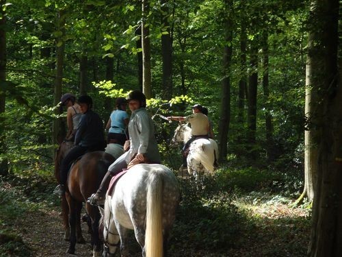 Centre de Tourisme Équestre du Val Saint-Pierre
