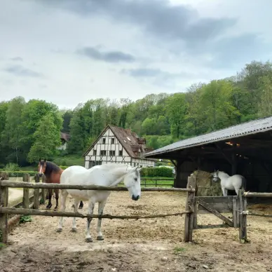 Les Ecuries des Vallées