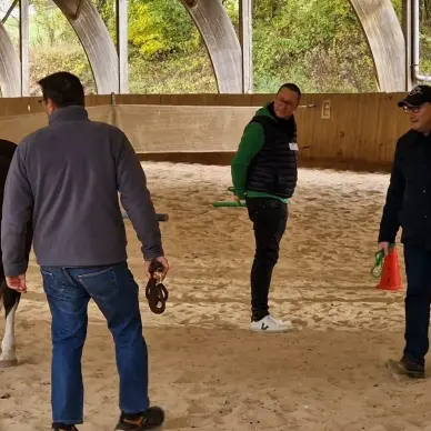 Equicoaching Autrement