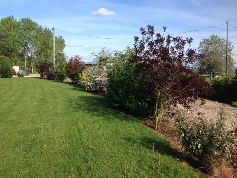 G4060-1bd6b174e6fa4d9ea17a2ff91d39a261