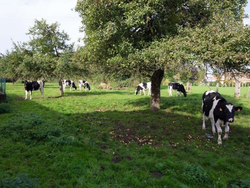 G4059-971d0830f6da4937b63d98400a3124a3