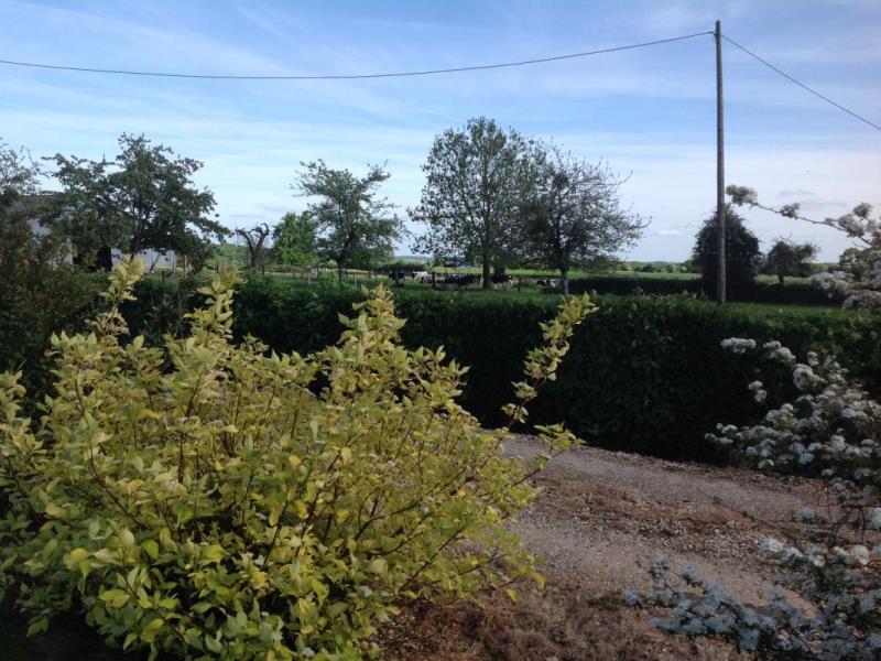 G4066-b5081895c0f84c7f96639f200bfadd8c