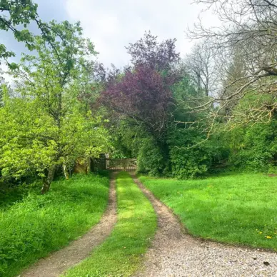 Ferme Equestre de Bois Guilbert