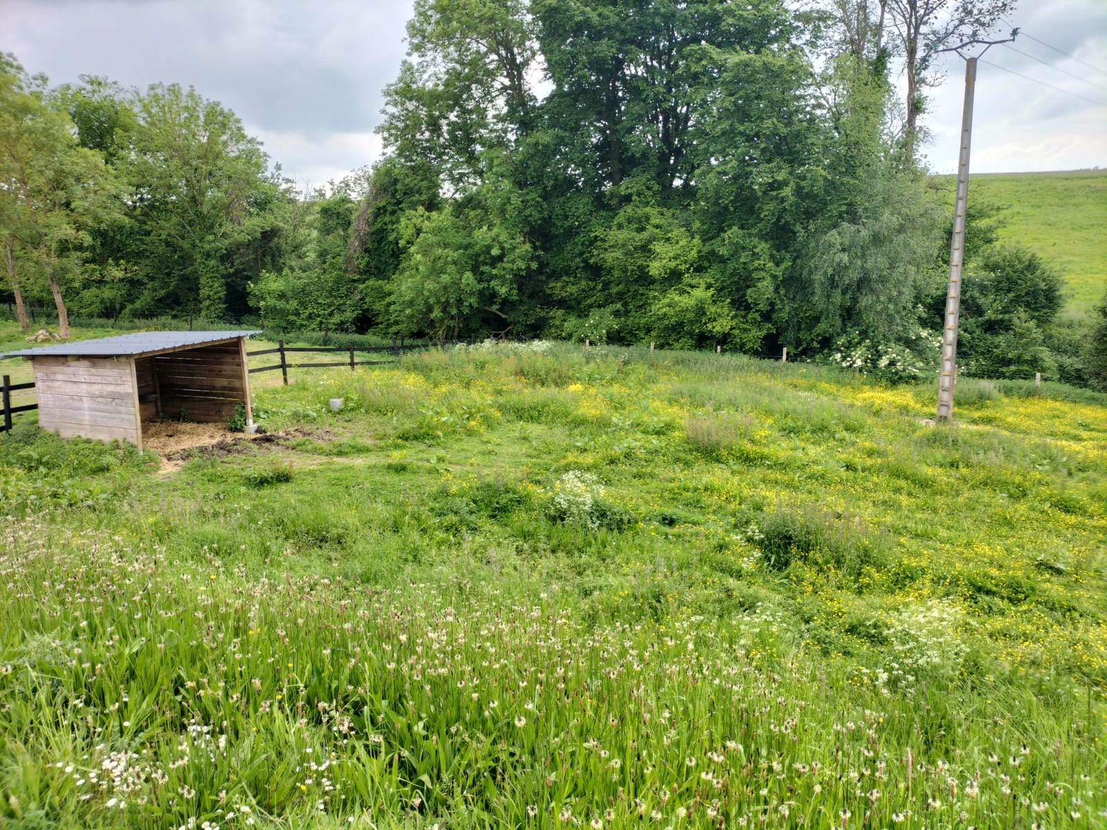 WhatsApp-Image-2024-05-24-at-16.36.30--1-