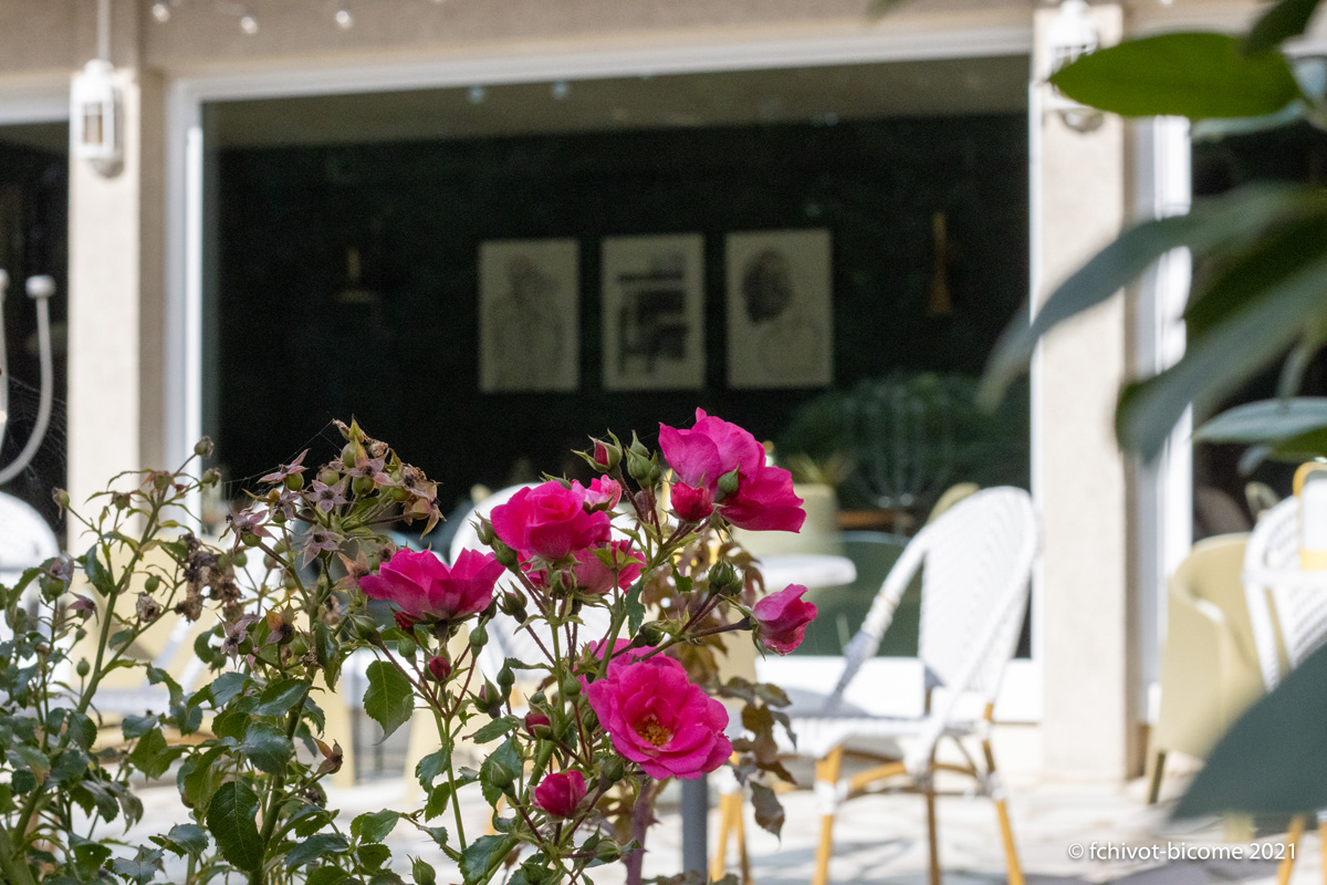 LERELAISDEMONTIGNY--f-chivot-Bicome--48-