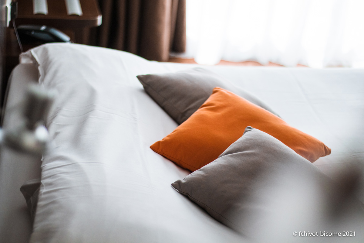 LERELAISDEMONTIGNY--f-chivot-Bicome--11--2