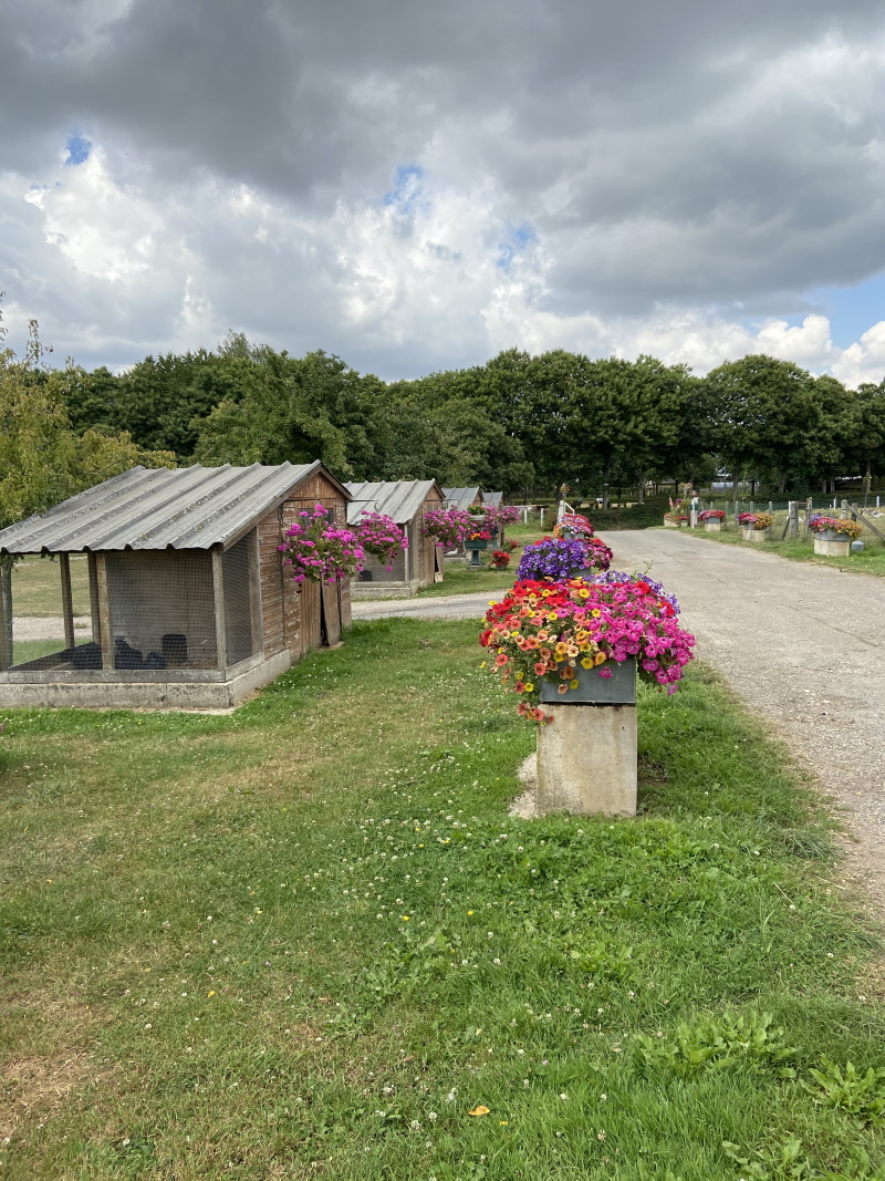 Aire de camping car de la Ferme des Châtaigniers
