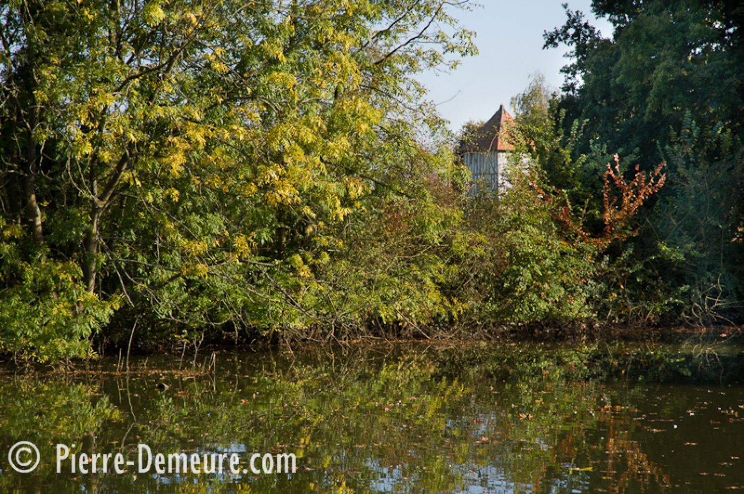 41940248-s5hbkgwvc4ok