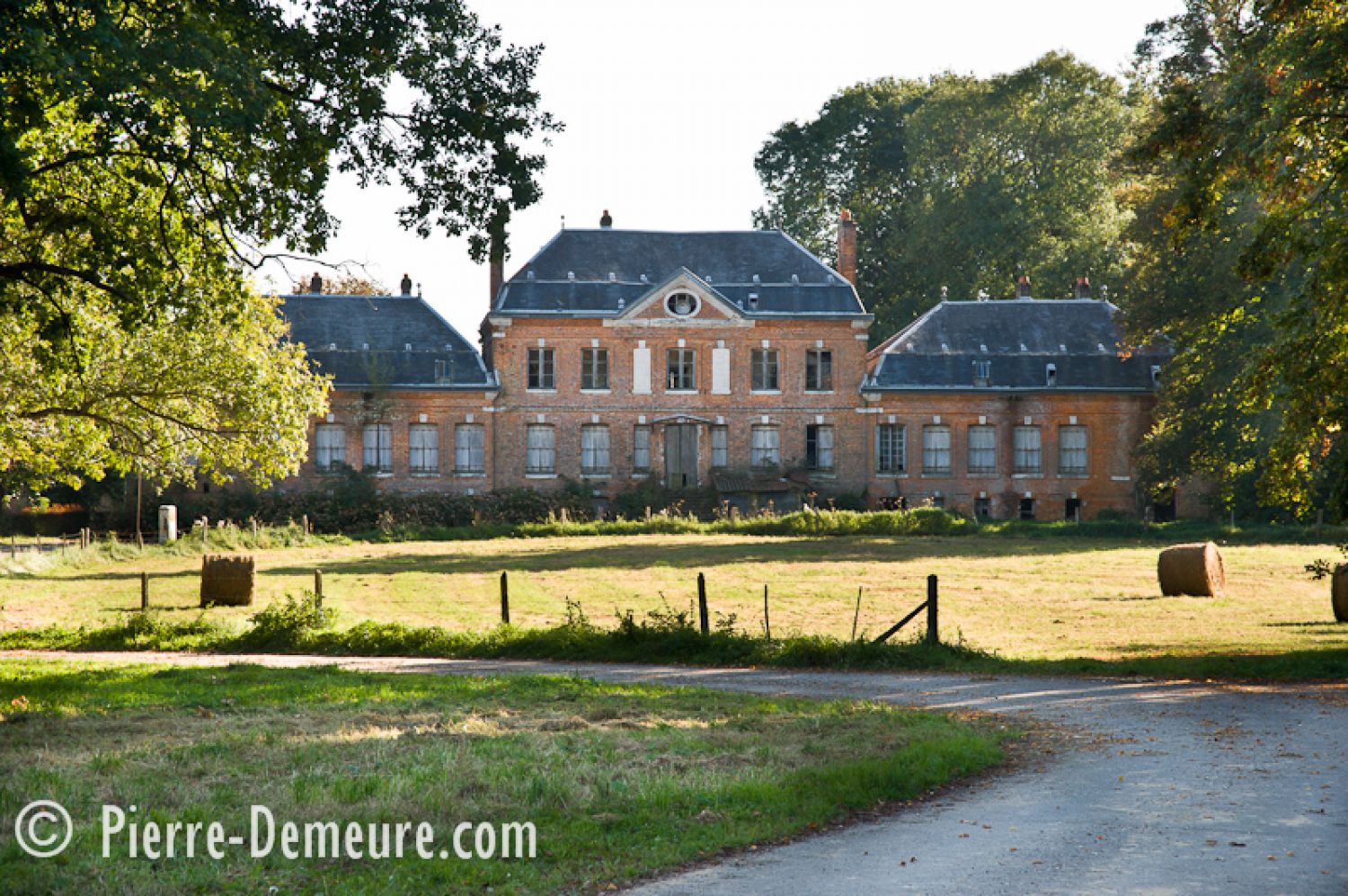 41940249-ngv65q0qe4t0