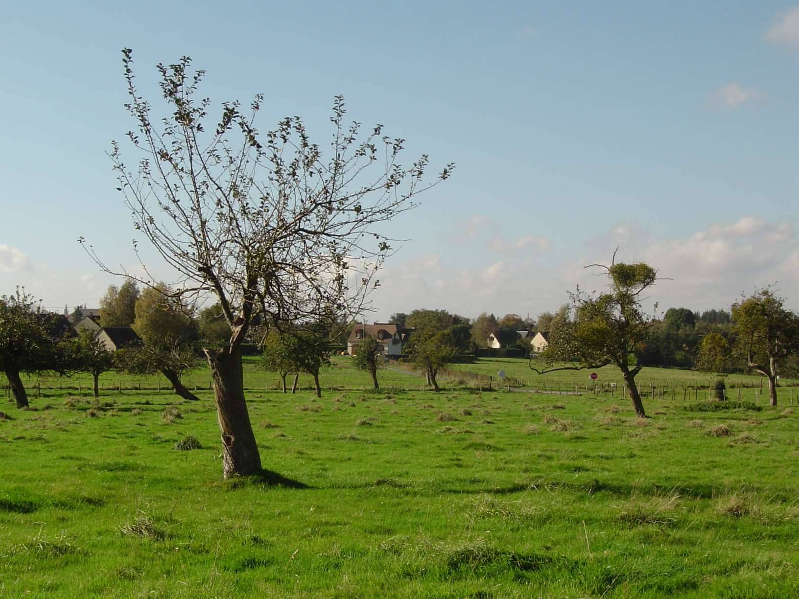 vue-folletiere-preaux-qn0w3fy8wmxa