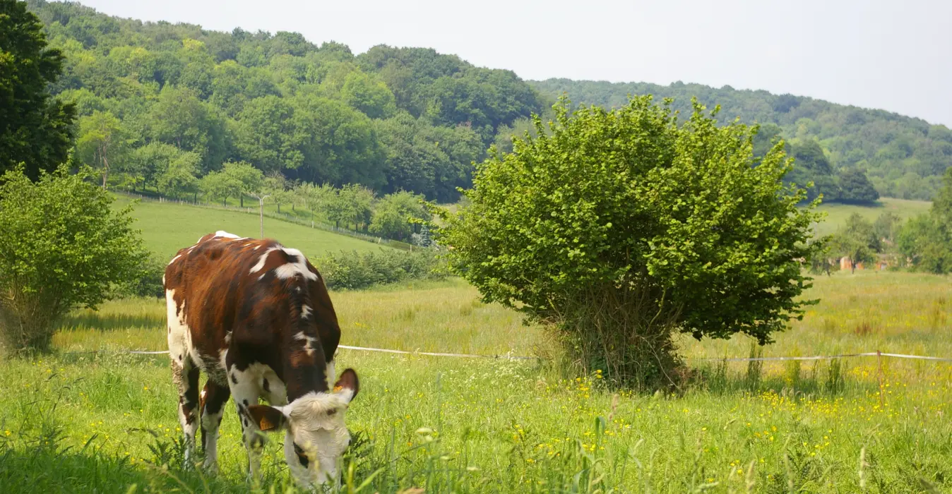 Le Double Four à Pain
