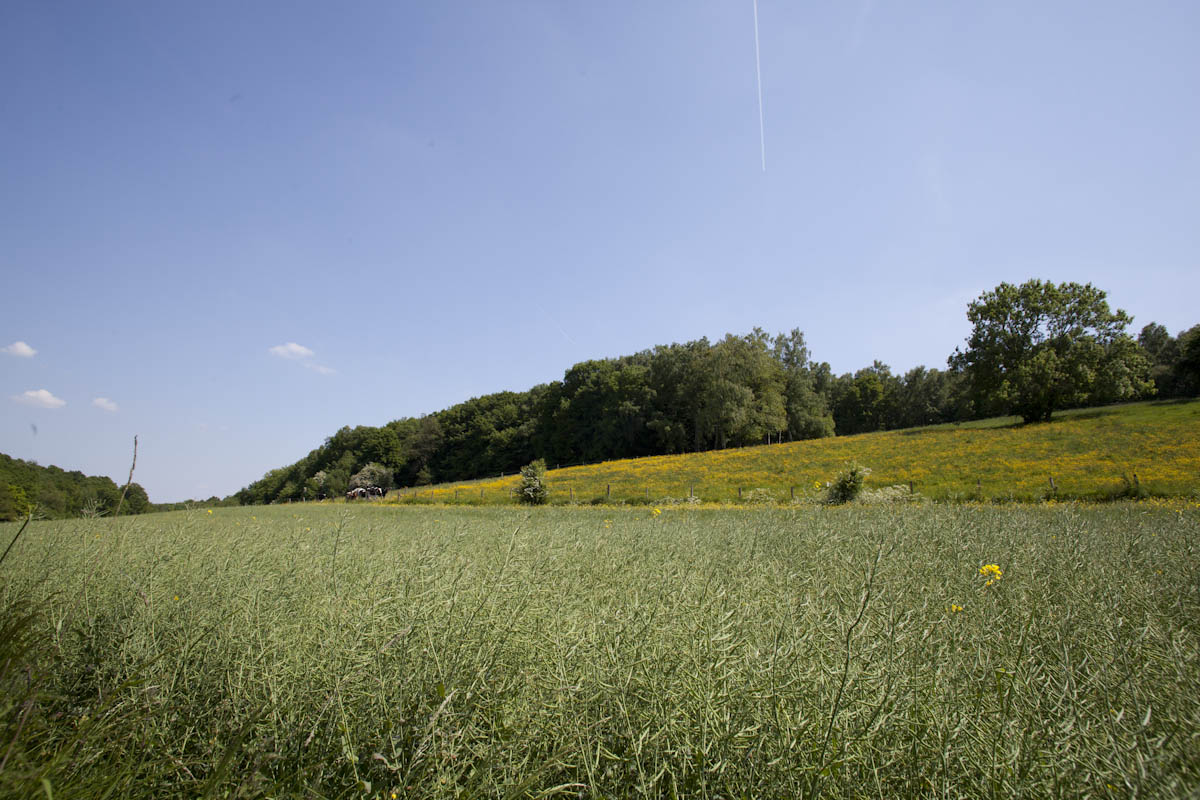 Le Chemin des Ecoliers
