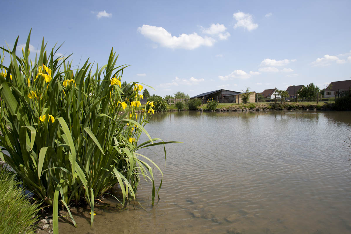 grainville-parc-15-k6om89fy71bd