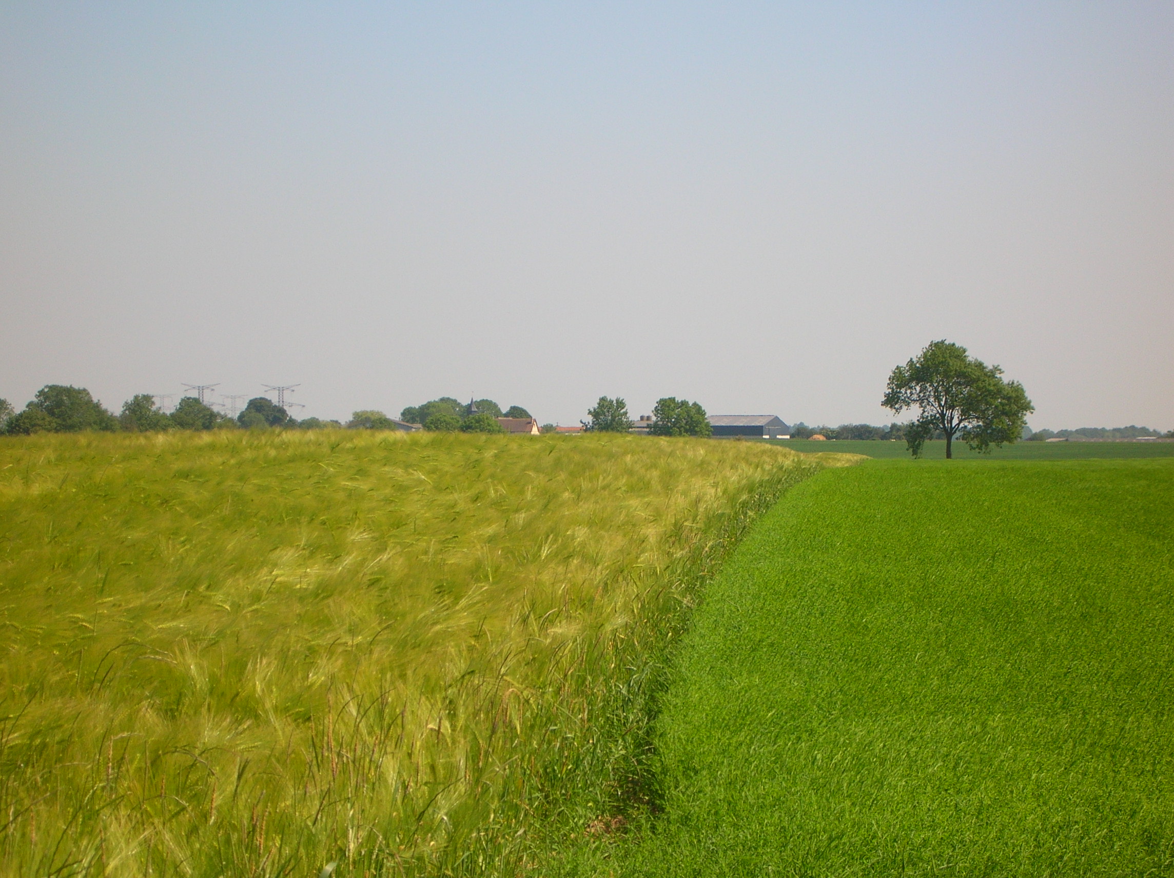 vieux-manoir-cultures-e0vmueau6up0