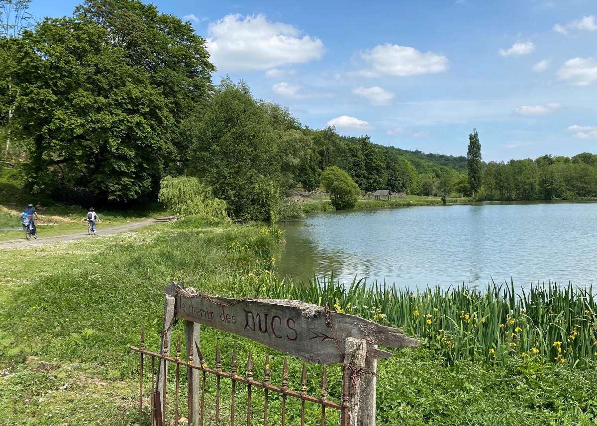 Abbaye-de-Mortemer-chemin-des-Ducs--ML-Vittori-Lyons-Andelle-Tourisme