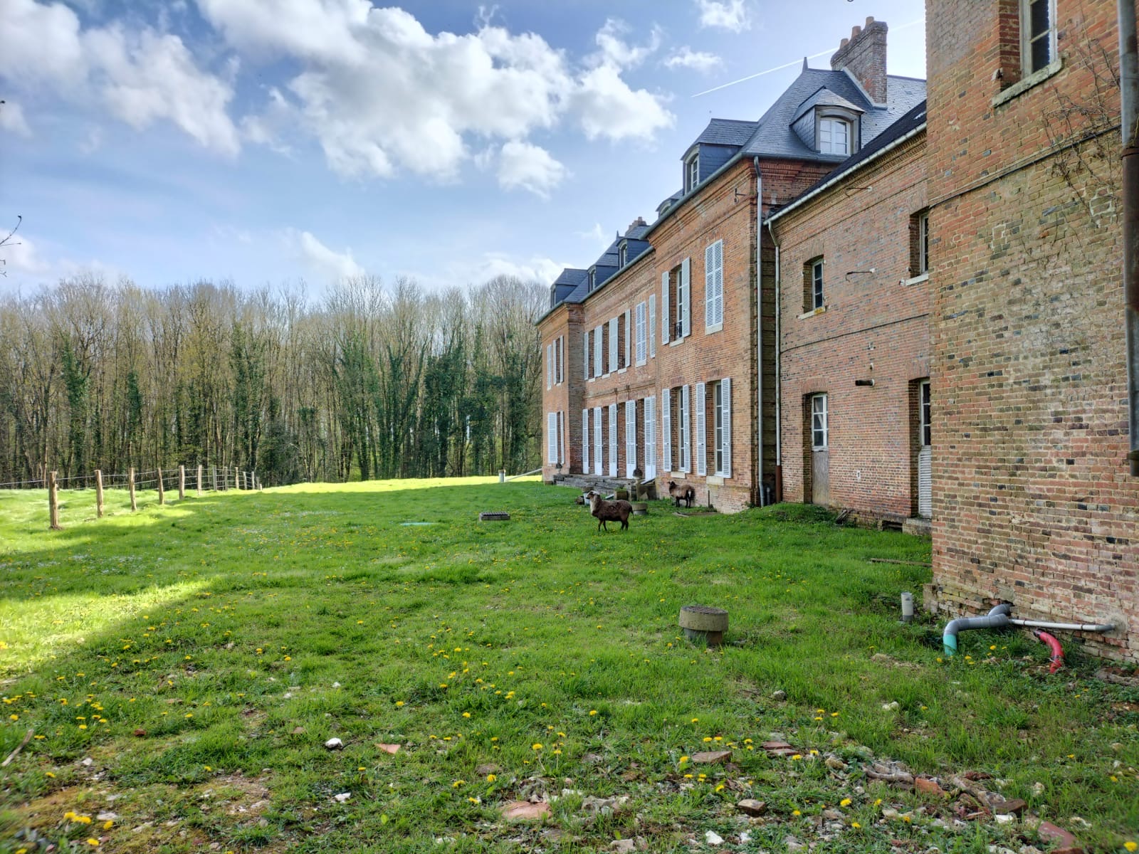 5b14972f-5ea5-4f7d-969f-48c91bf60aa0