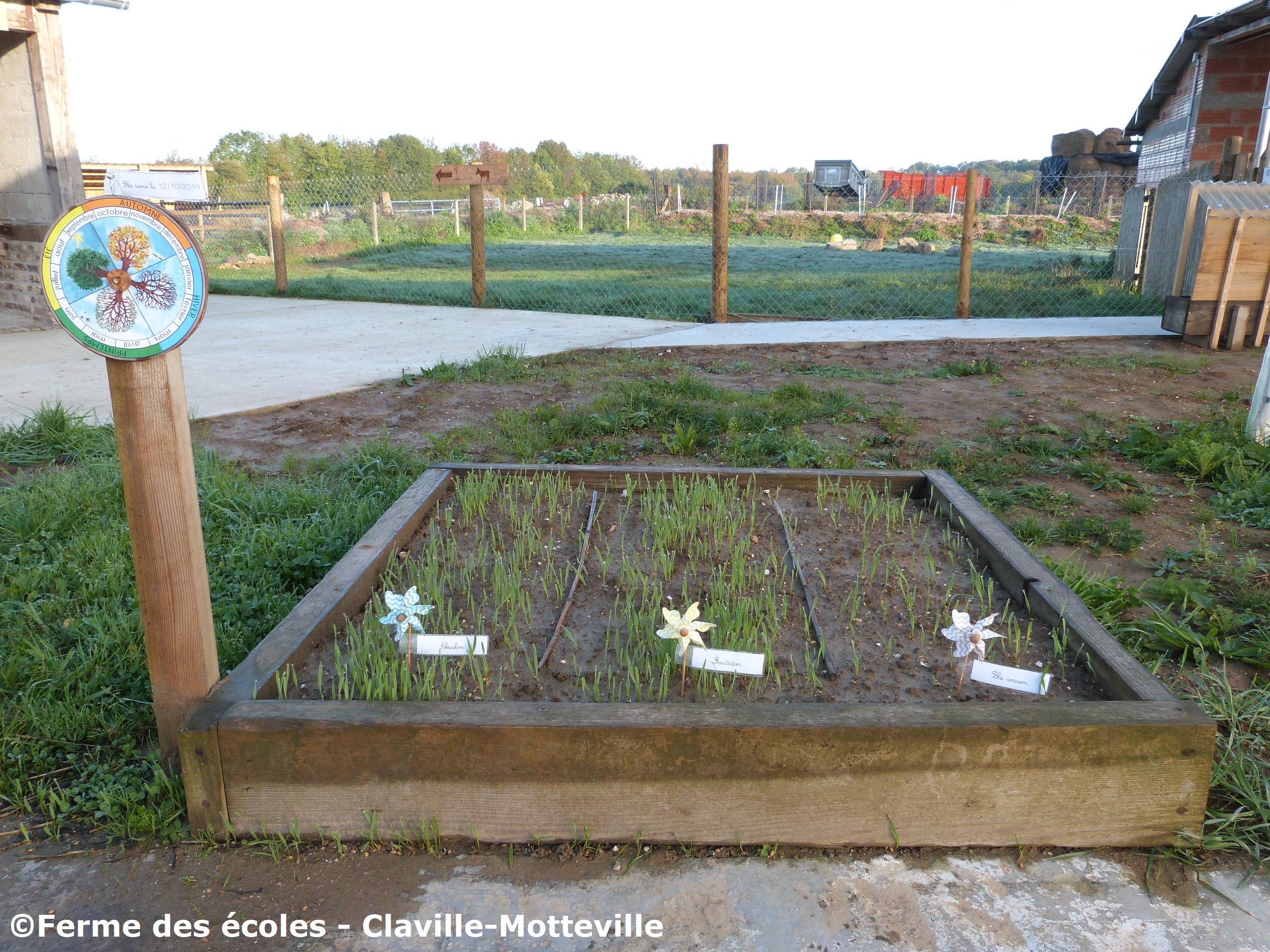Ferme-des-ecoles----Ferme-des-ecoles---2019---CLAVILLE-MOTTEVILLE---ferme-pedagogique---famille--2-