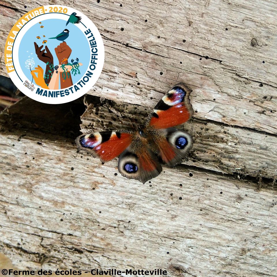 118830147-2692589277695989-2727282675301616762-o