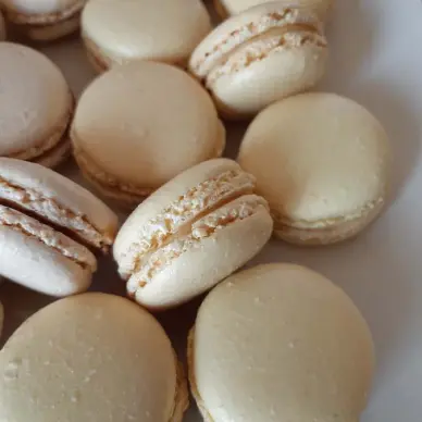 La Forêt des Macarons