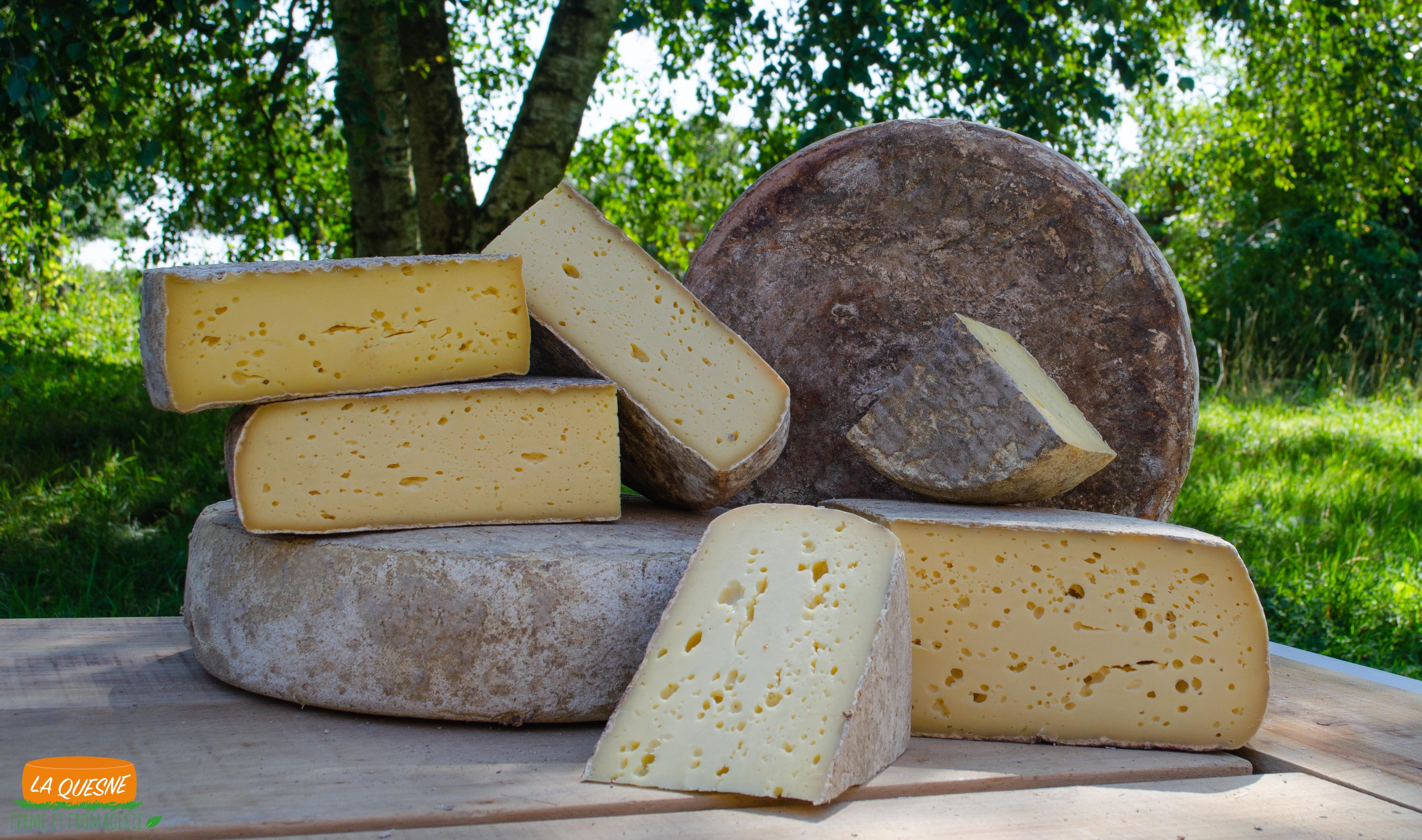 La Quesne, ferme et fromagerie
