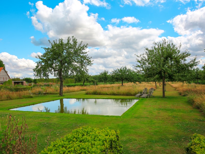 Jardin-Plume--SMA--M-Harel--9-