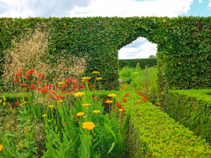 Jardin-Plume--SMA--M-Harel--10-