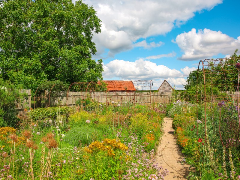 Jardin-Plume--SMA--M-Harel--12-