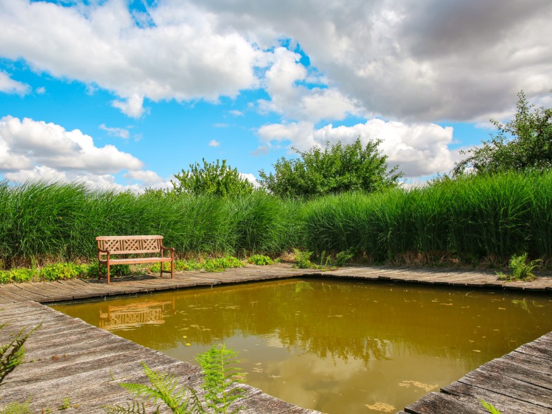 Jardin-Plume--SMA--M-Harel--13-