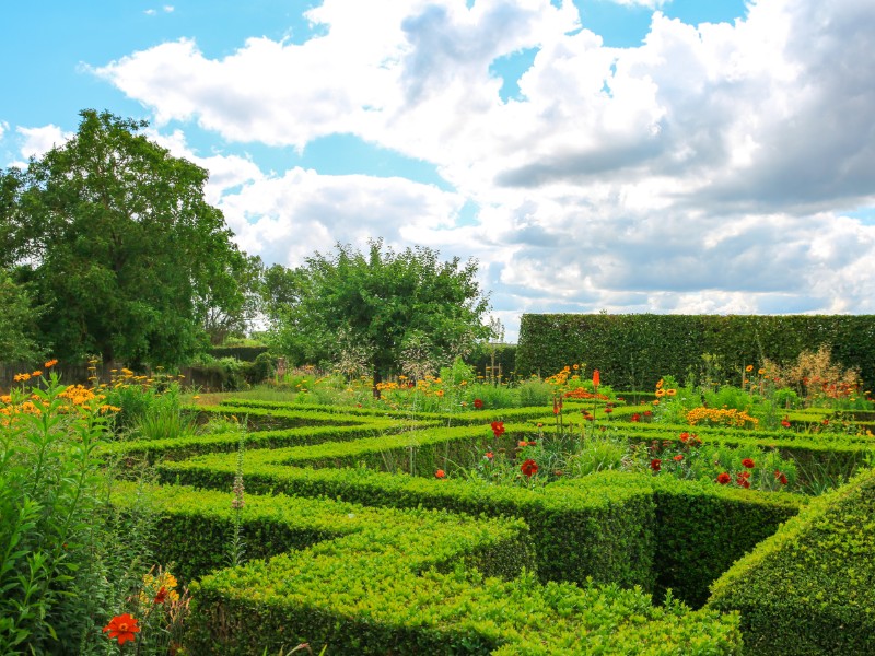 Jardin-Plume--SMA--M-Harel--6-