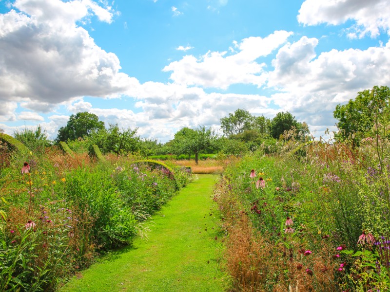 Jardin-Plume--SMA--M-Harel--5-