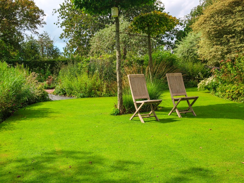 jardin-de-valerianes-sma-mathilde-harel-800x600--1-