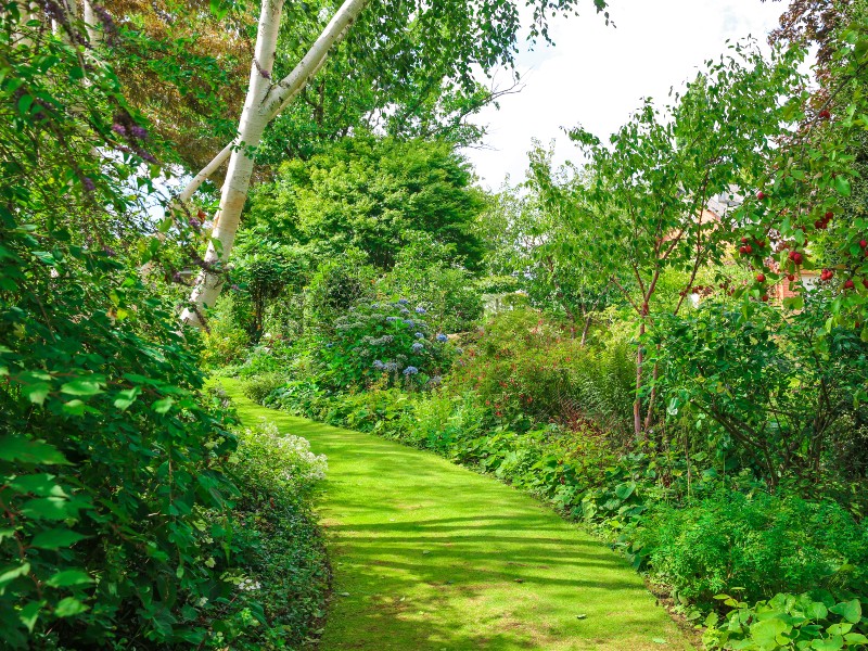 jardin-de-valerianes-sma-mathilde-harel-800x600--2-