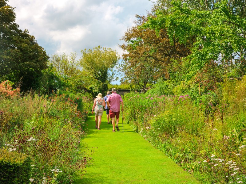 jardin-de-valerianes-sma-mathilde-harel-800x600--4-