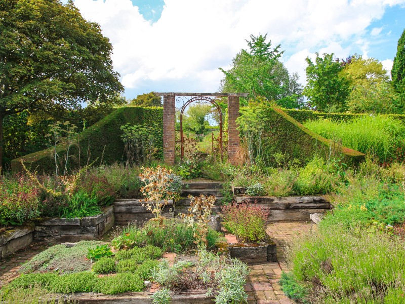 jardin-de-valerianes-sma-mathilde-harel-800x600--7-