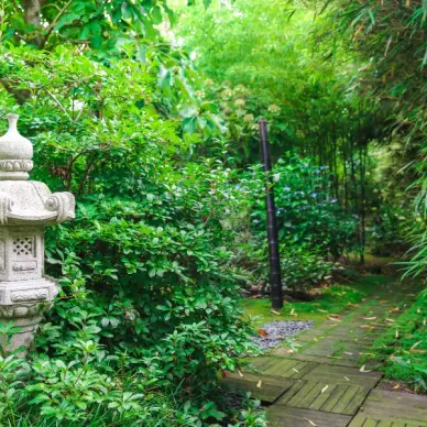 Jardin de Valérianes