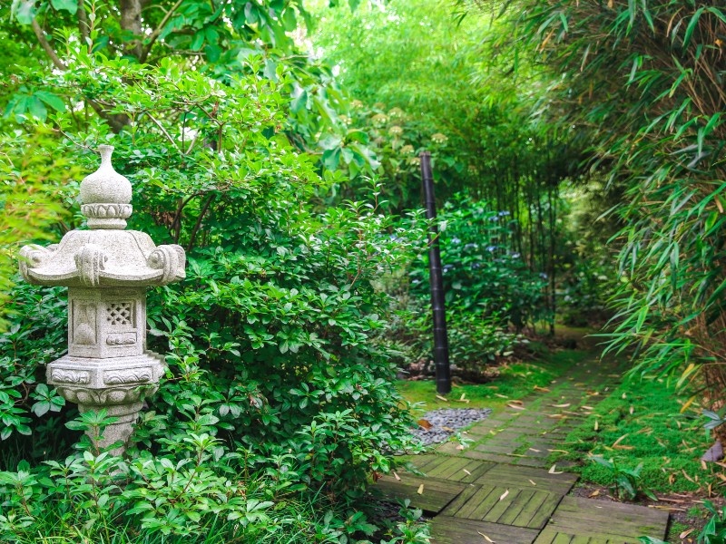 jardin-de-valerianes-sma-mathilde-harel-800x600--11-