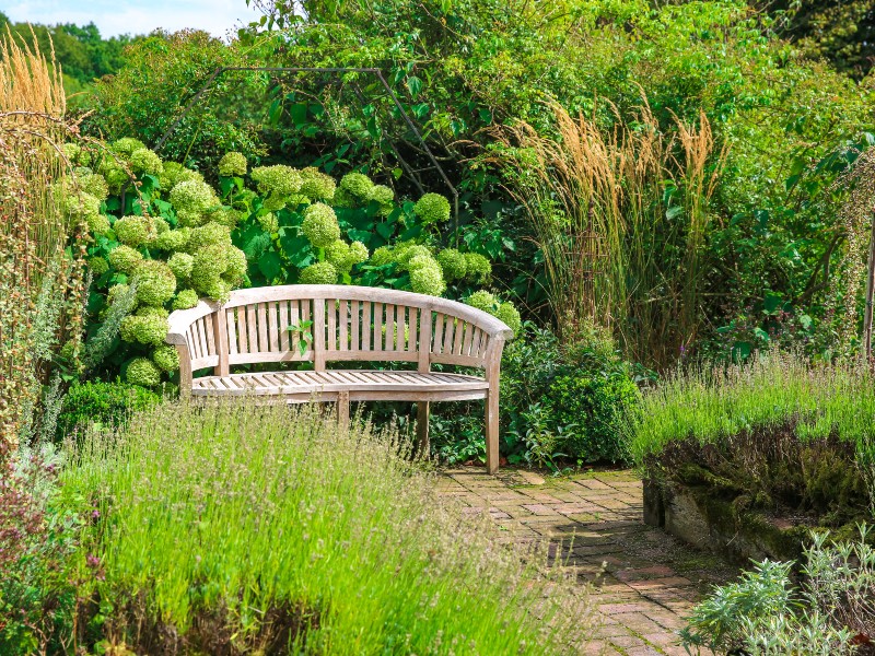 jardin-de-valerianes-sma-mathilde-harel-800x600--8-