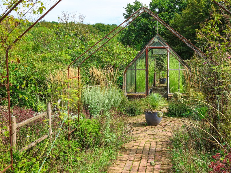 jardin-de-valerianes-sma-mathilde-harel-800x600--6-