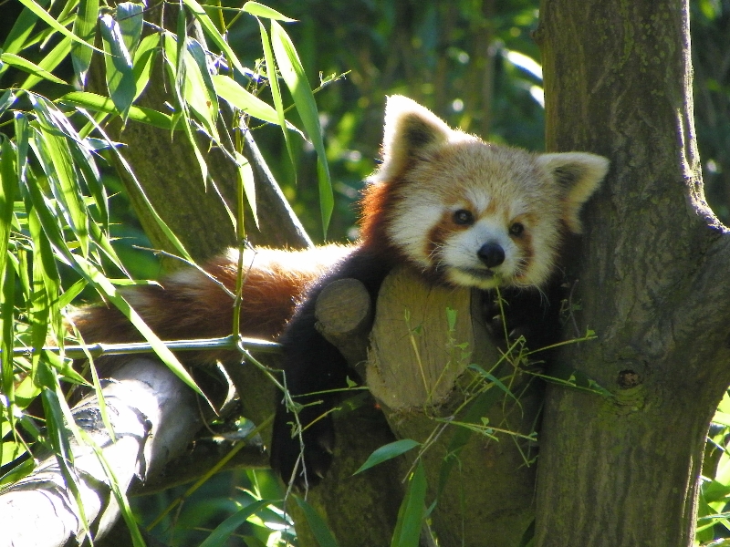 Parc-de-Cleres--SMT---Y.Leroux-9