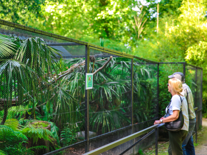 Parc-de-Cleres--SMA--M.Harel-8-