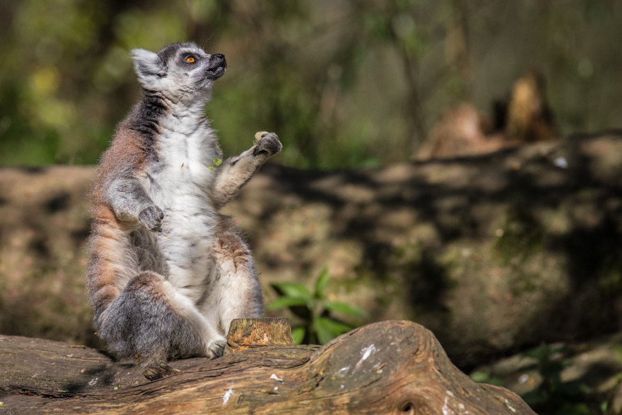 MB-CD76-18-04-19-illustrations-583