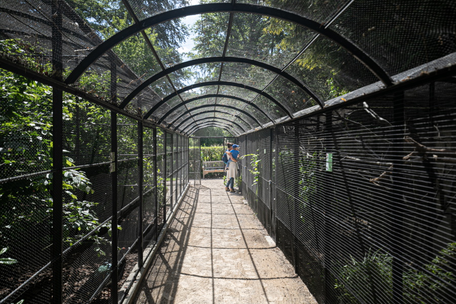 MB-CD76-20-05-25-Illustrations-Parc-de-cleres-41