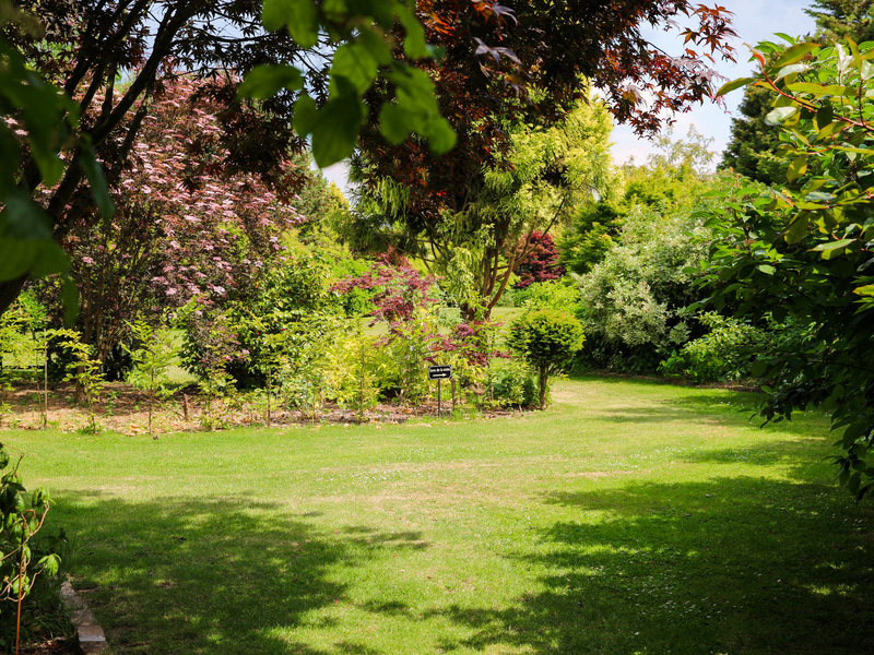 Jardin-du-Mesnil--SMT--M.Harel-5--971340d401b34dcb845ddec503164a93